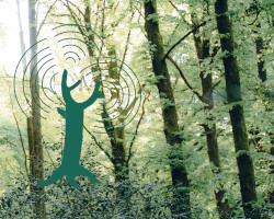 Projet Sonosylva